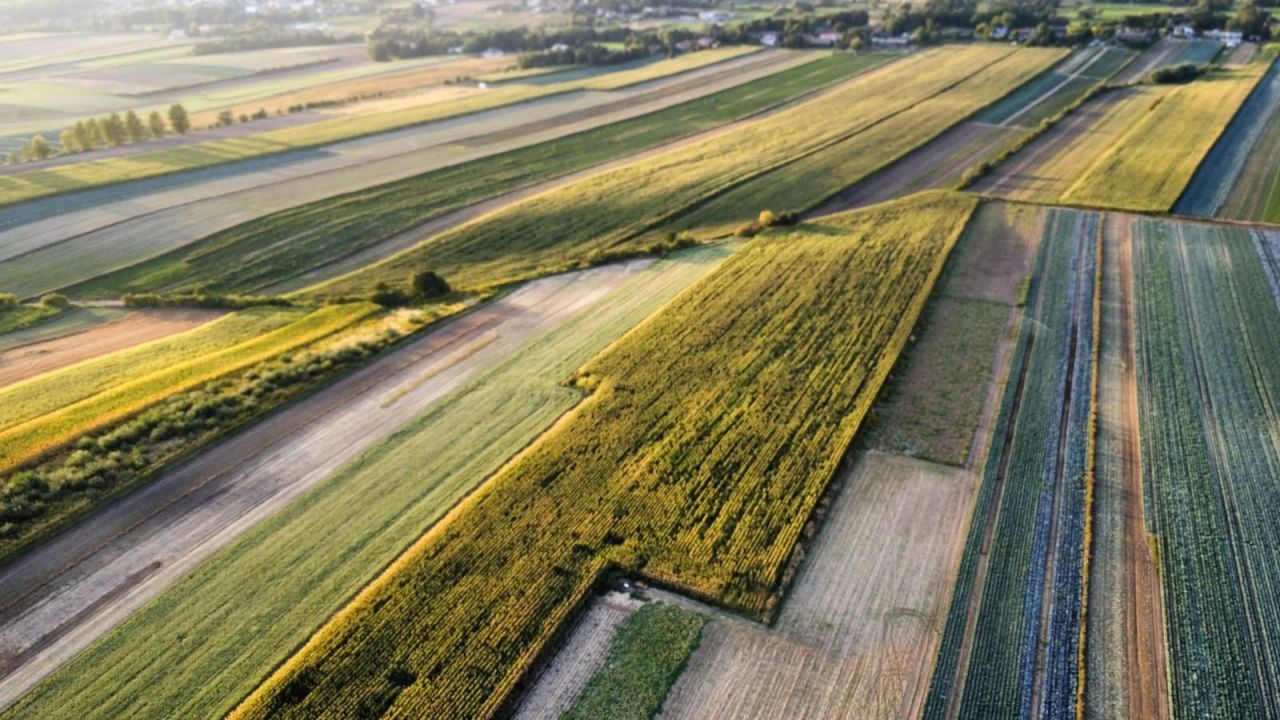 Działka rolno-budowlana Polekarcice. Zdjęcie 7