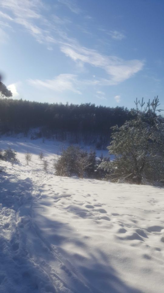 Działka rolna Uniemino. Zdjęcie 6