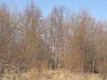 Działka rolna Czersk, ul. Gródź. Zdjęcie 3