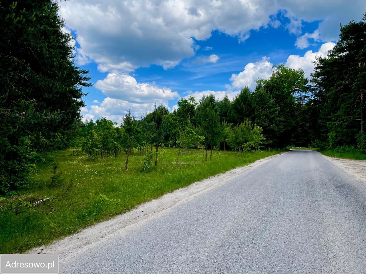 Działka Skrzelczyce. Zdjęcie 3