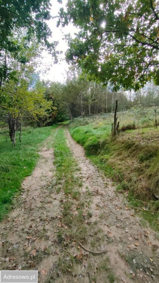 Działka rolno-budowlana Wola Radziszowska. Zdjęcie 2