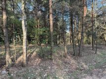 Działka rekreacyjna Wola Polska