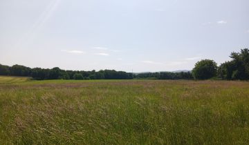 Działka budowlana Nidek