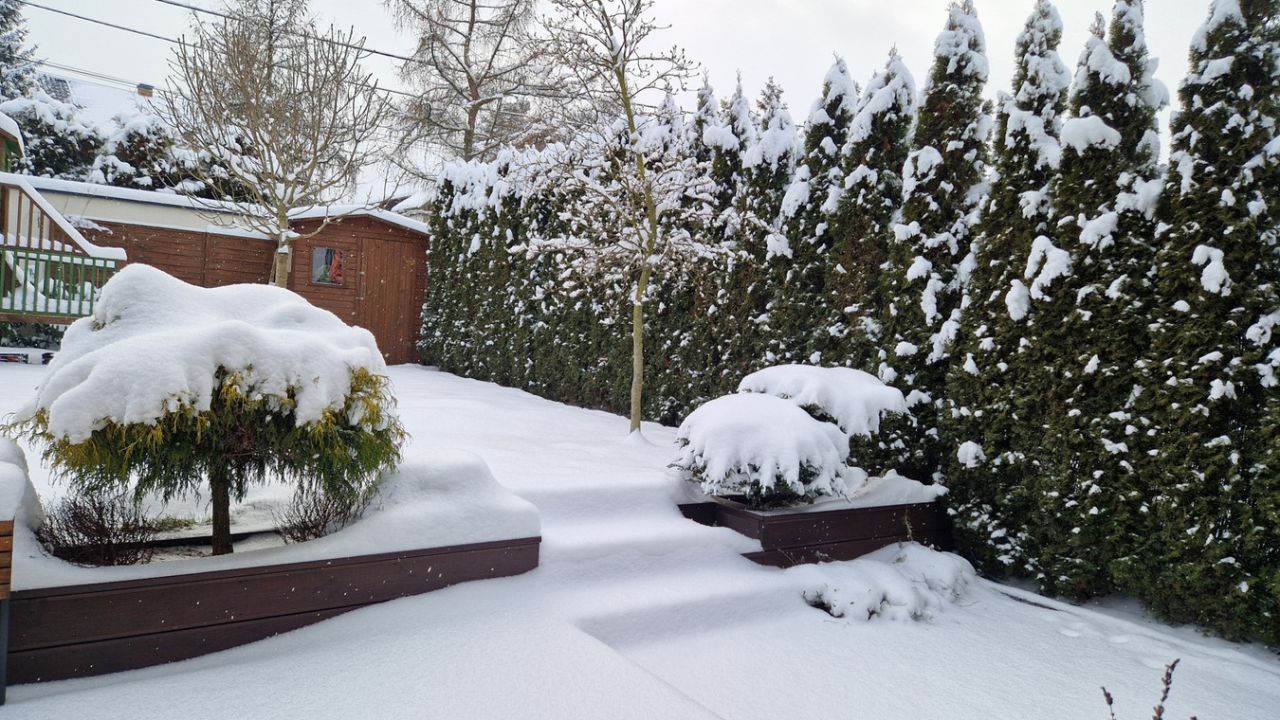 bliźniak, 4 pokoje Zakrzów. Zdjęcie 13