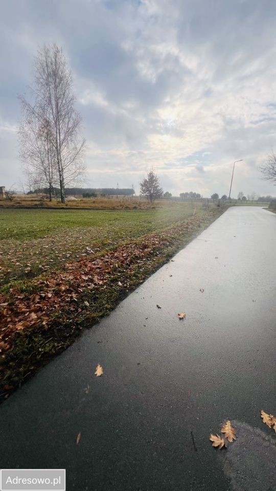 Działka rolno-budowlana Dorohusk-Osada, ul. Wierzbowa. Zdjęcie 10