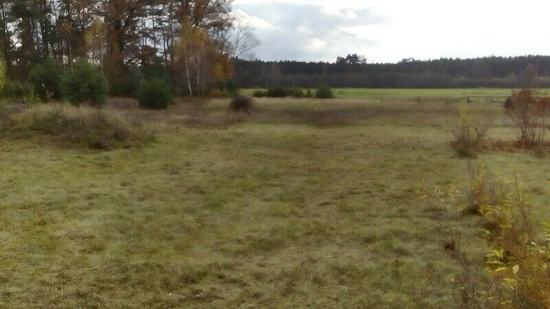 Działka rekreacyjna Knapówka. Zdjęcie 2