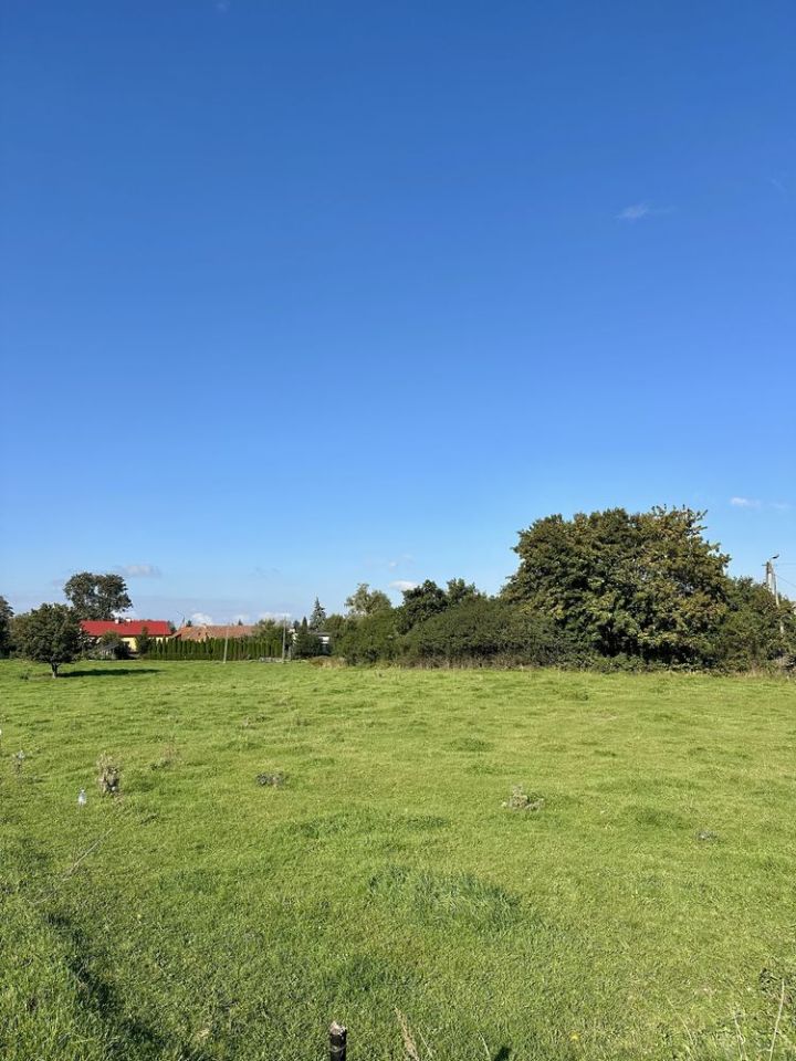 Działka rolna Użranki. Zdjęcie 5