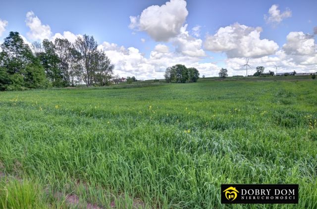 Działka budowlana Stara Chmielówka. Zdjęcie 4