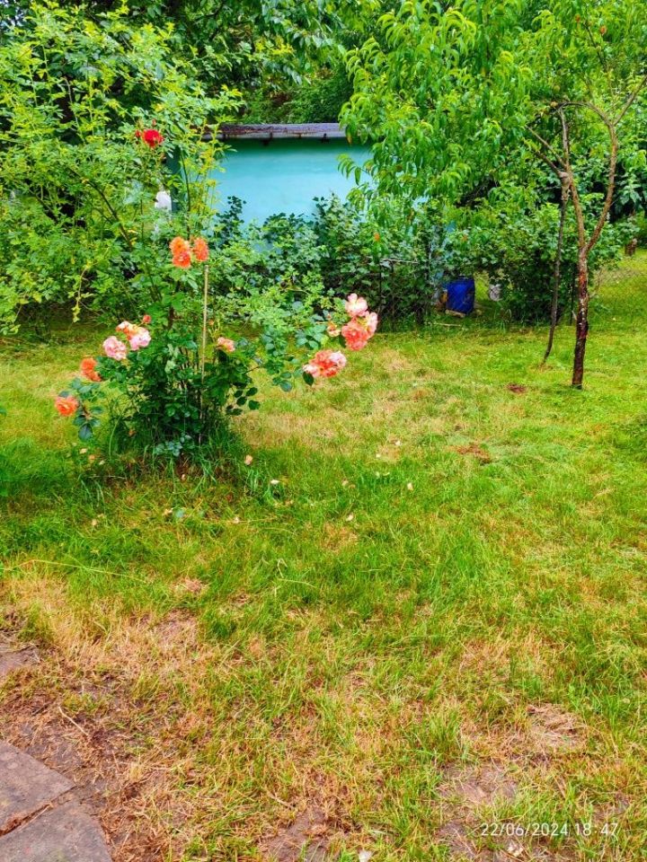 Działka rod Radom, ul. Ciborowska. Zdjęcie 3