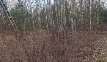 Działka budowlana Stare Lipiny, al. Aleja Niepodległości