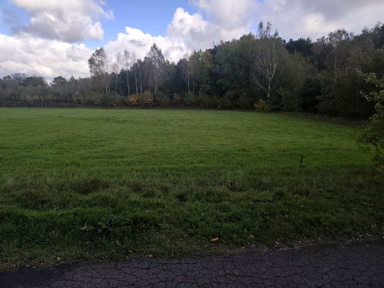 Działka budowlana Wyszebórz