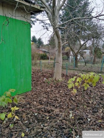 Działka rod Warszawa Koło. Zdjęcie 1