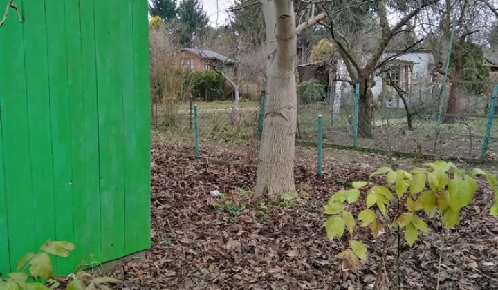 Działka rod Warszawa Koło