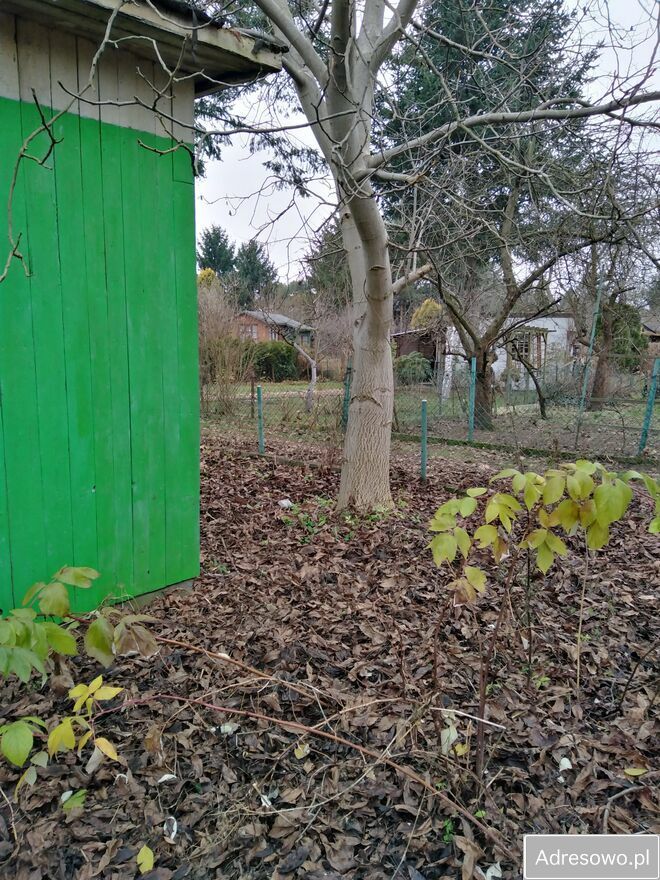 Działka rod Warszawa Koło