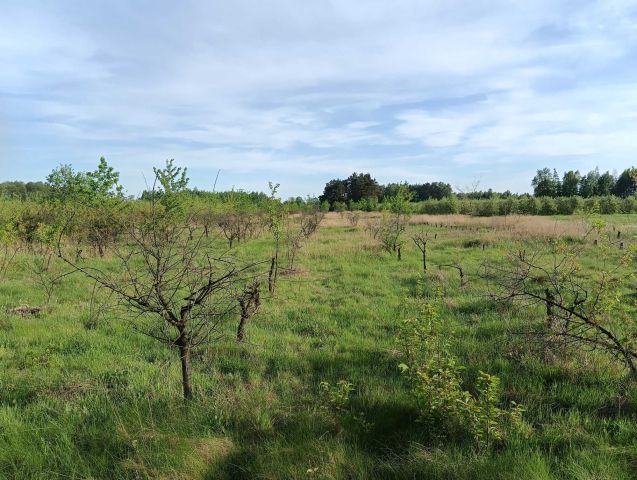 Działka rolna Wola Krobowska. Zdjęcie 1