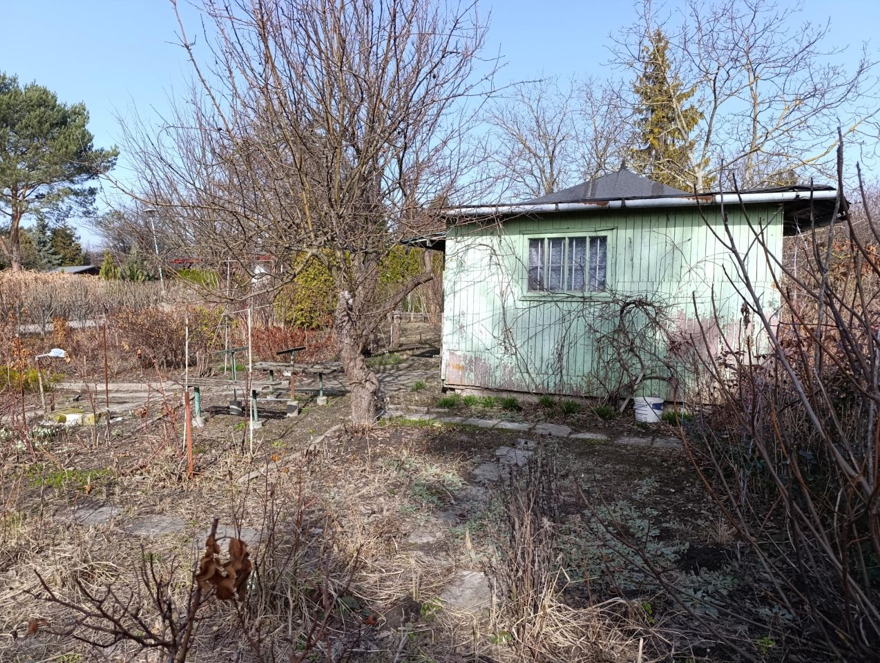 Działka rod Warszawa Włochy, ul. Sasanki. Zdjęcie 4