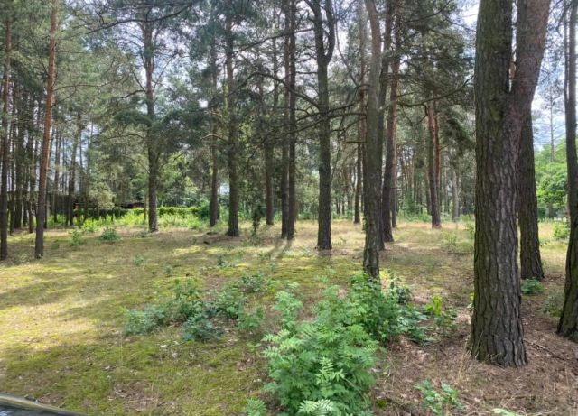 Działka budowlana Mostówka, ul. Wiejska. Zdjęcie 1