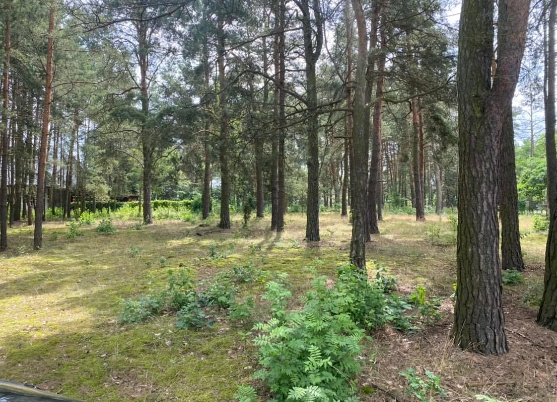 Działka budowlana Mostówka, ul. Wiejska. Zdjęcie 1