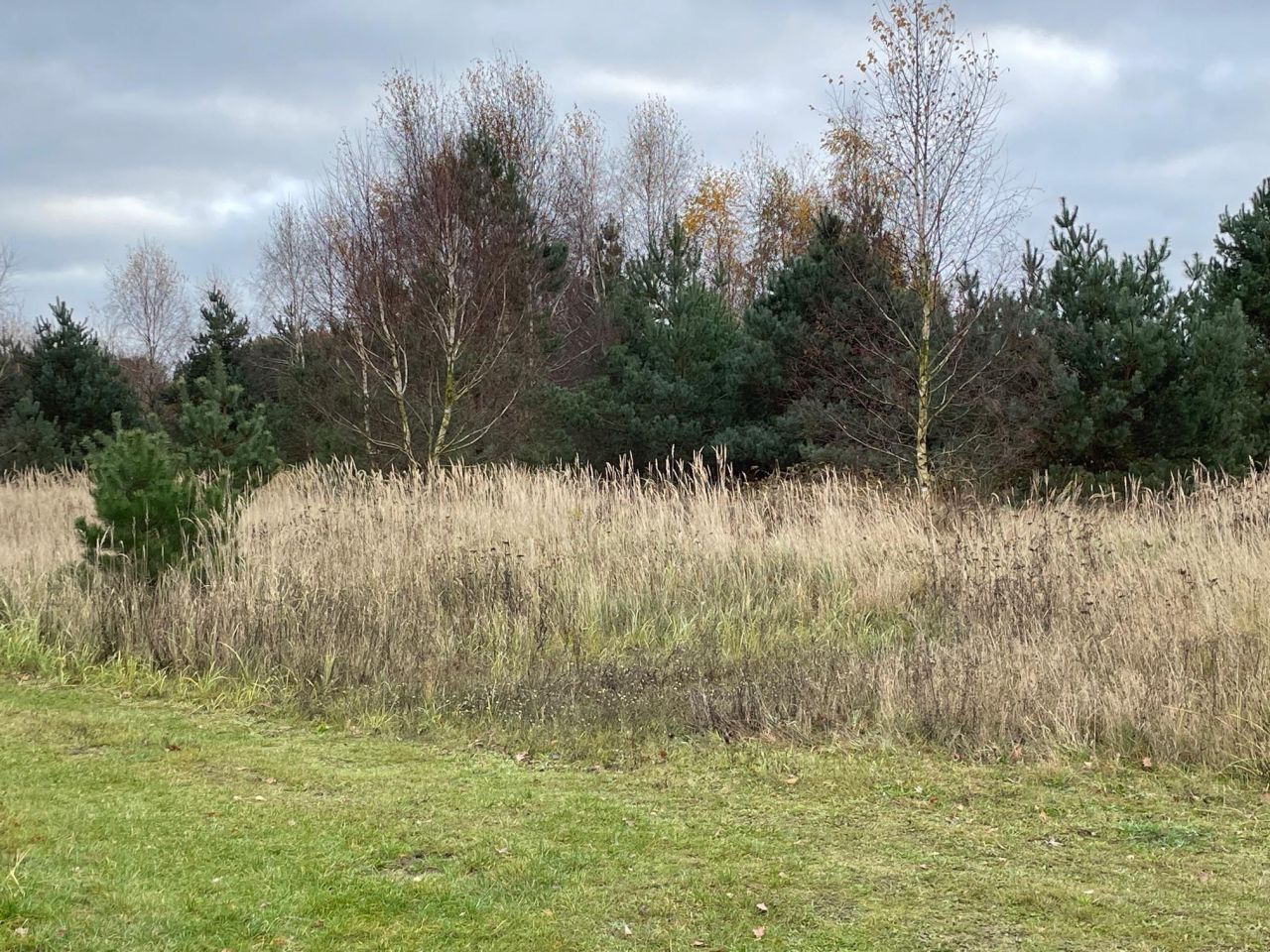 Działka rolna Chomino. Zdjęcie 2