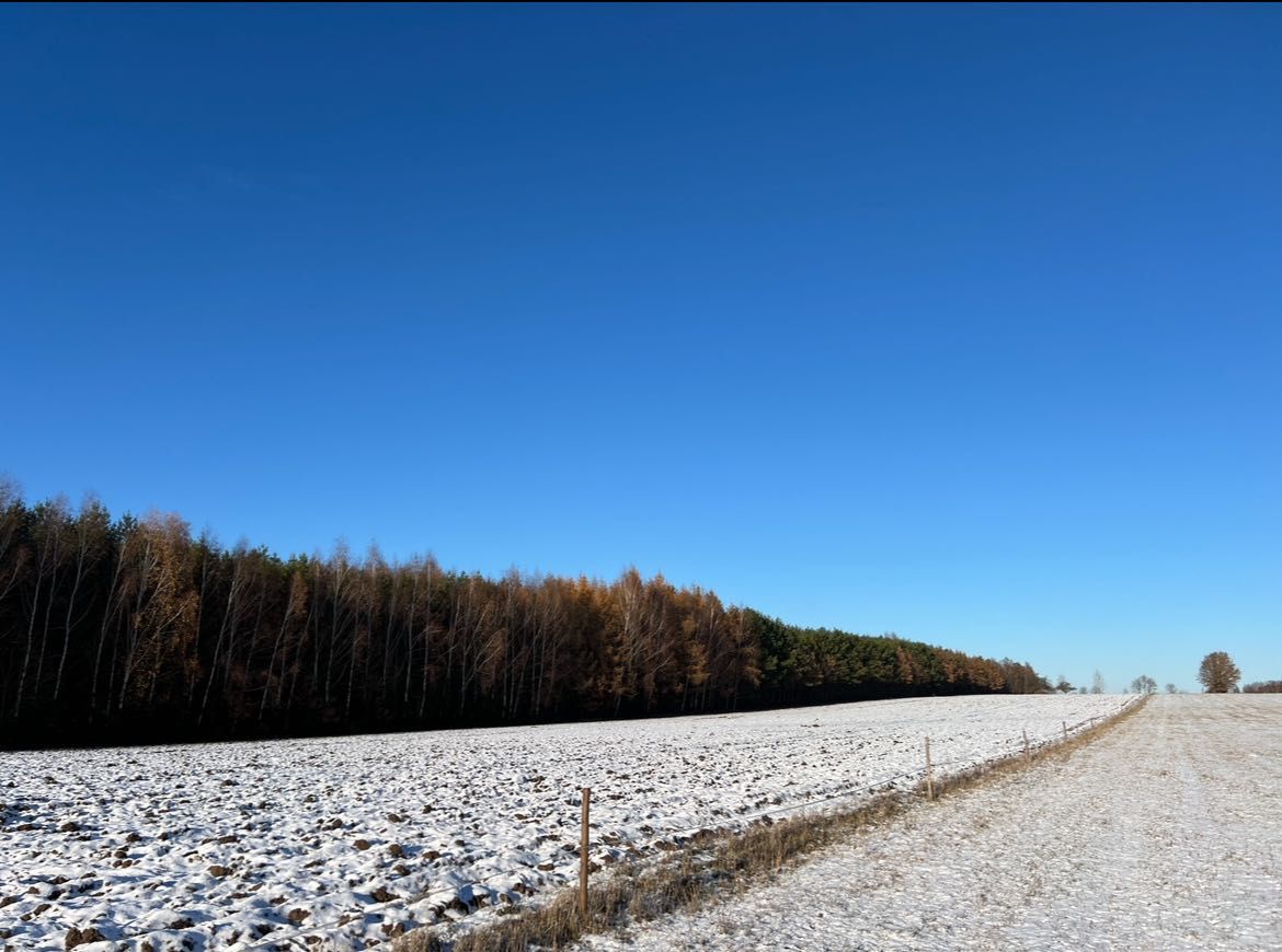 Działka rolna Folwarki Małe. Zdjęcie 8