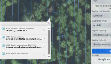 Działka leśna Borów-Kolonia