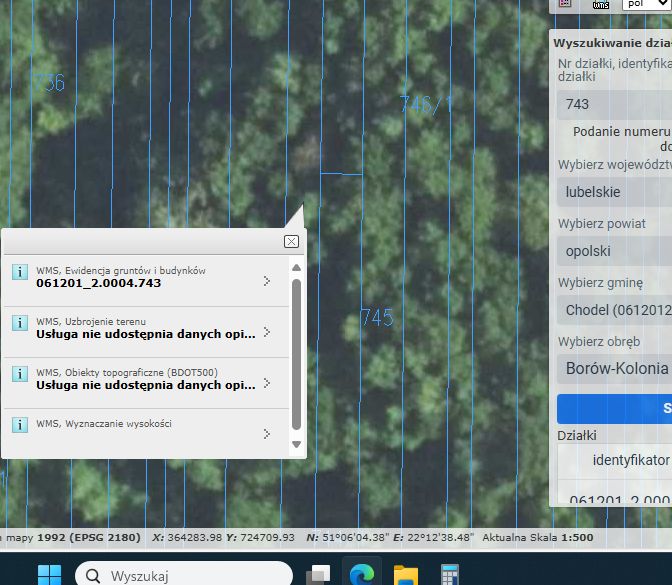 Działka leśna Borów-Kolonia. Zdjęcie 2