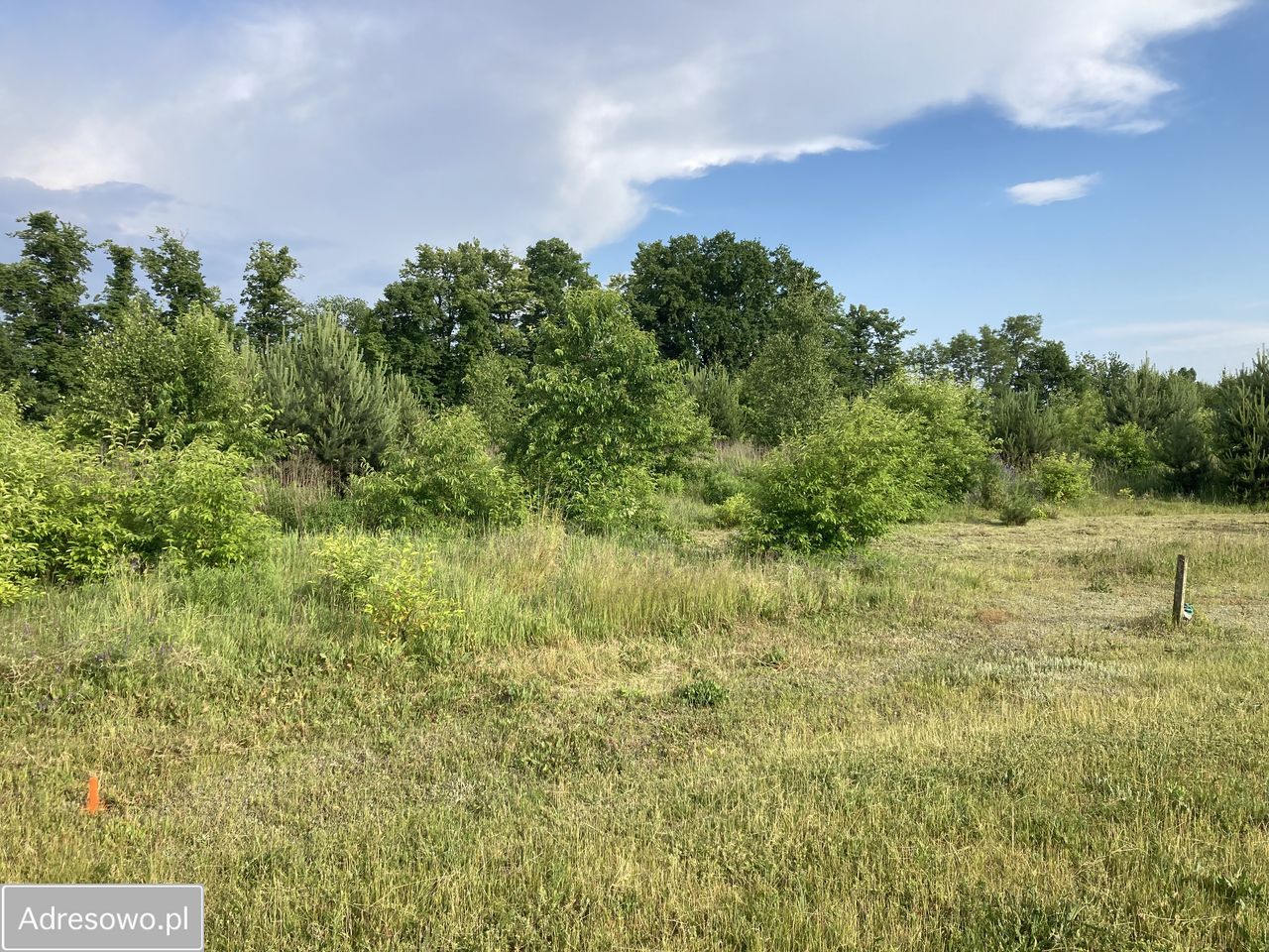 Działka budowlana Dziektarzew. Zdjęcie 5