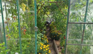 Działka rod Kołobrzeg