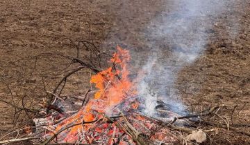 Działka rolno-budowlana Nysa