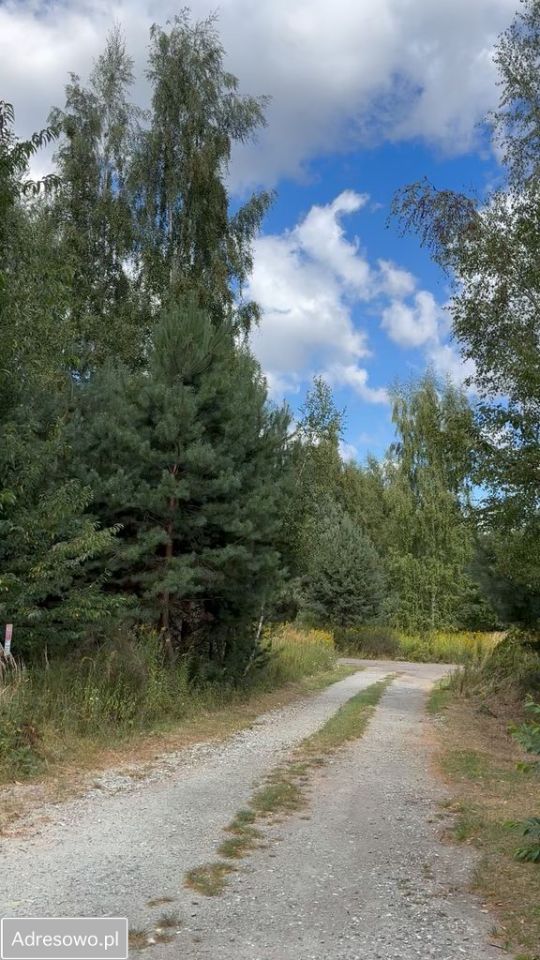 Działka budowlana Miłoszyce, ul. Azaliowa. Zdjęcie 9