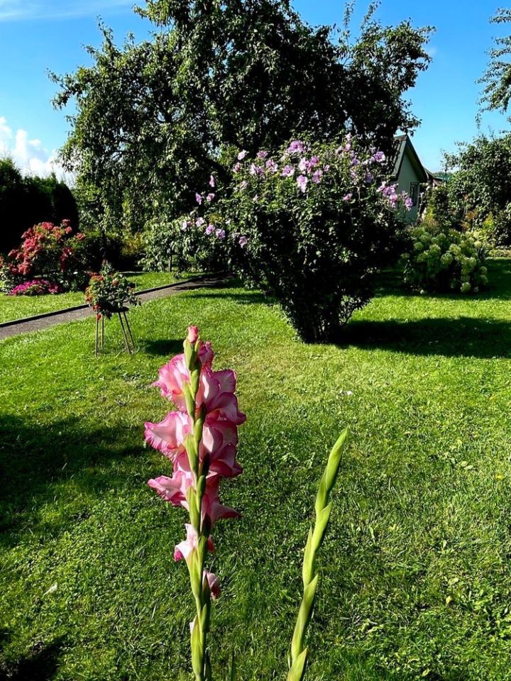 Działka rod Stargard, ul. Gdańska. Zdjęcie 4