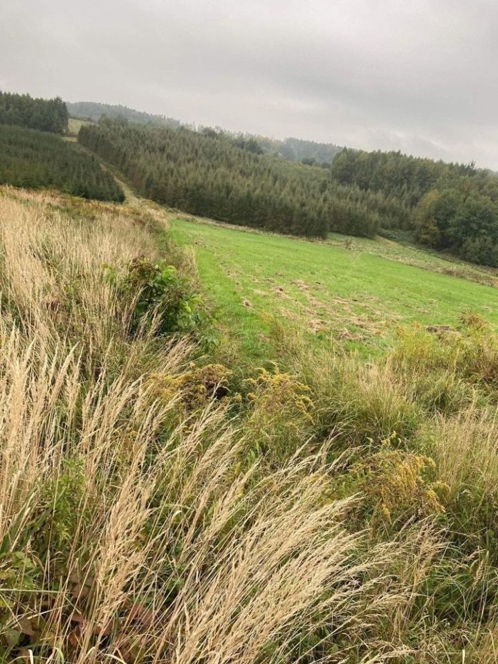 Działka rolna Paczółtowice. Zdjęcie 4