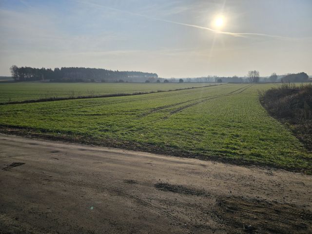 Działka budowlana Młyniec Pierwszy, ul. Rogówska. Zdjęcie 1