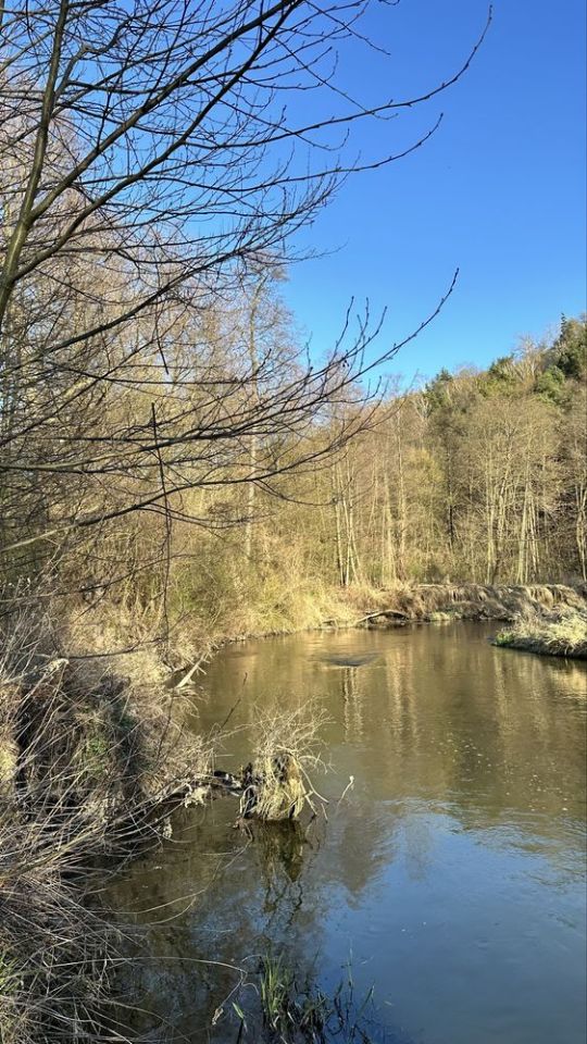 Działka inwestycyjna Bałtów. Zdjęcie 3