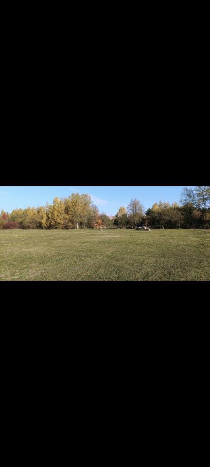 Działka budowlana Morszków. Zdjęcie 6