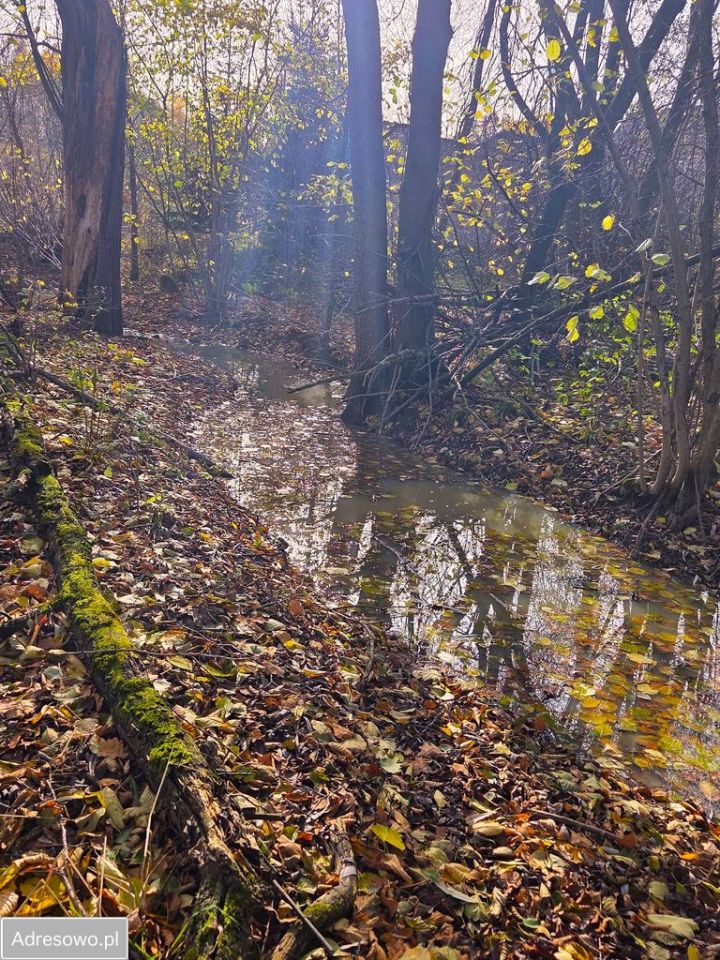 Działka budowlana Stary Wielisław. Zdjęcie 7