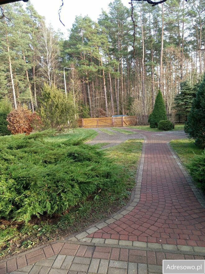 dom wolnostojący, 4 pokoje Płozy. Zdjęcie 3