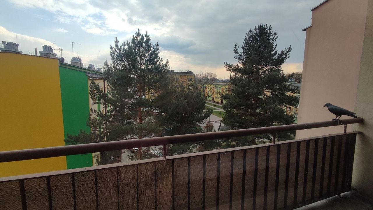 Mieszkanie 2-pokojowe Dąbrowa Górnicza Gołonóg, ul. Józefa Wybickiego. Zdjęcie 11