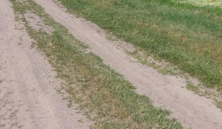 Działka budowlana Pawłowo
