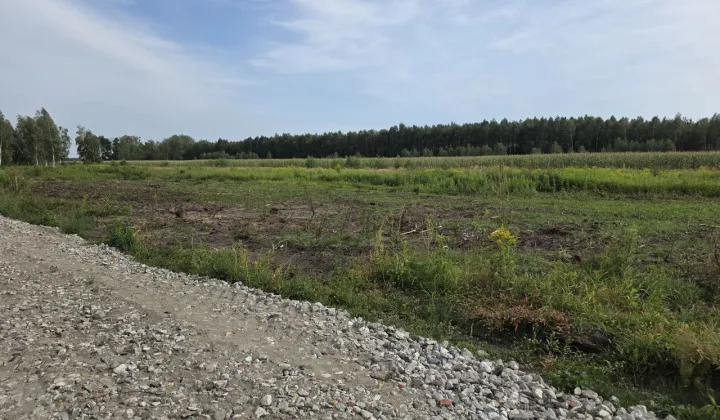 Działka budowlana Zazdrość, ul. Zaciszna