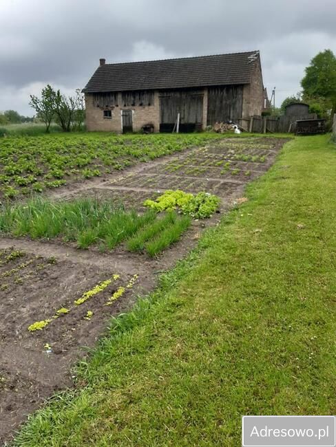 Działka rolna Uciechów