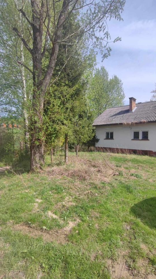 Działka rolno-budowlana Lubenia. Zdjęcie 2