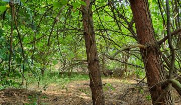 Działka budowlana Strzeniówka