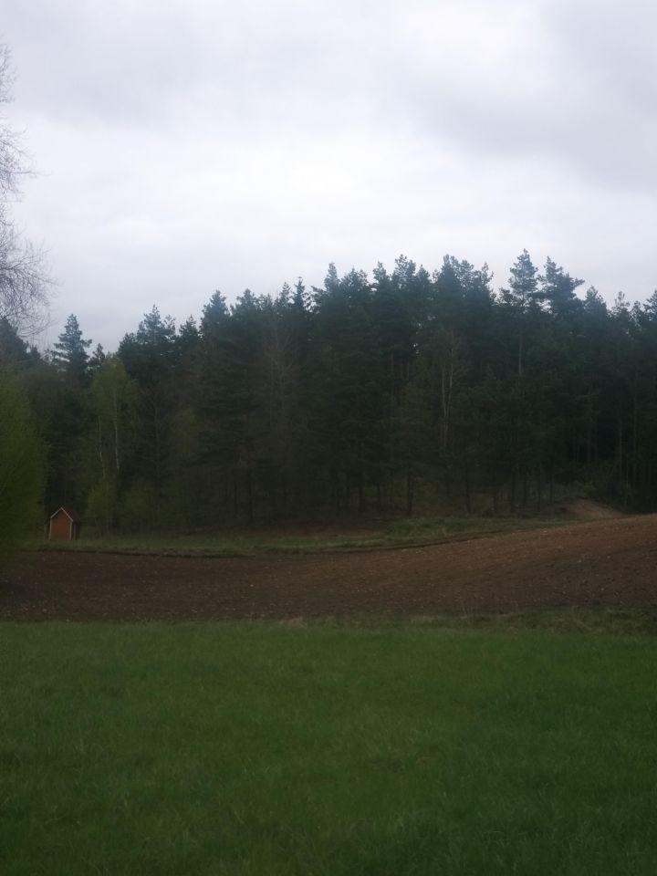 Działka rolna Dębowo. Zdjęcie 3