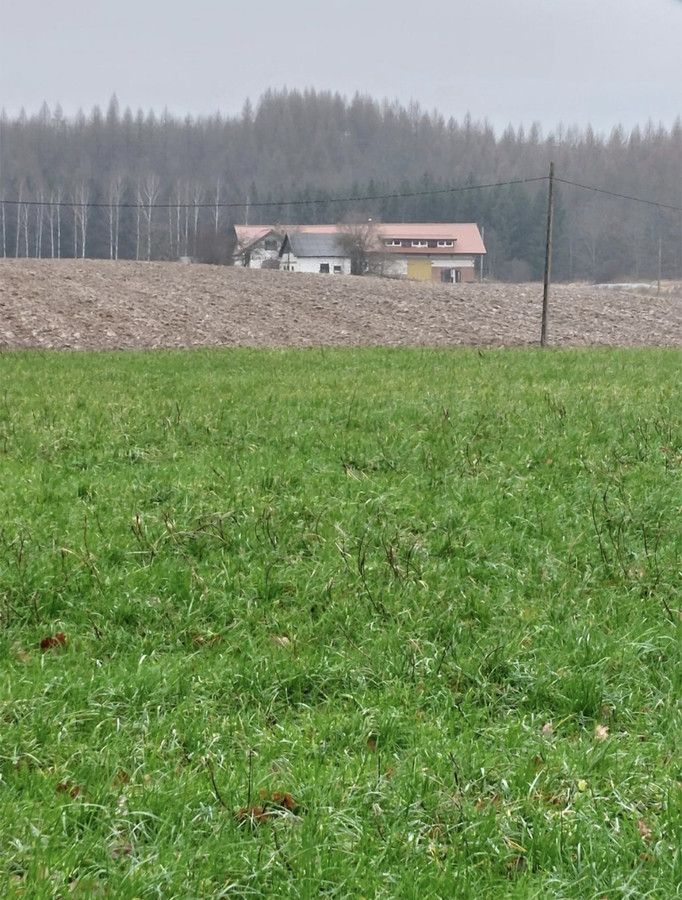 Działka siedliskowa Radostowo. Zdjęcie 6