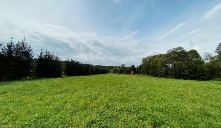 Działka rekreacyjna Mielnów