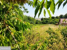 Działka budowlana Dobromierz, ul. Zielona. Zdjęcie 2