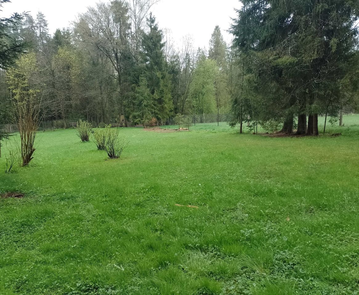 Działka budowlana Ludźmierz