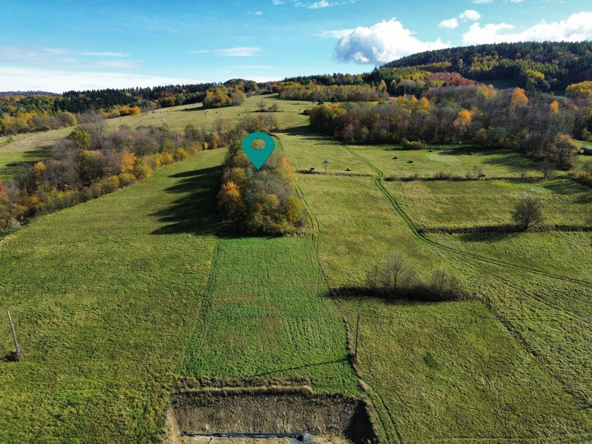 Działka rolna Rymanów-Zdrój Deszno. Zdjęcie 12