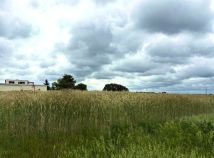 Działka budowlana Kotunia. Zdjęcie 2